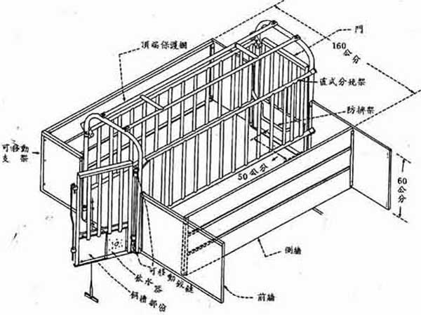 母猪定位栏的安装