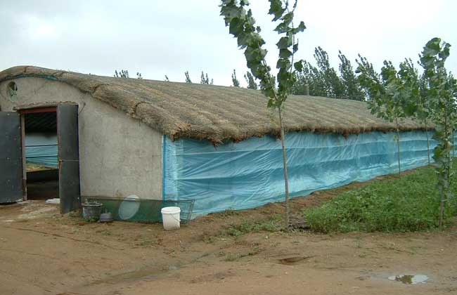 养鸡场鸡舍建设方案